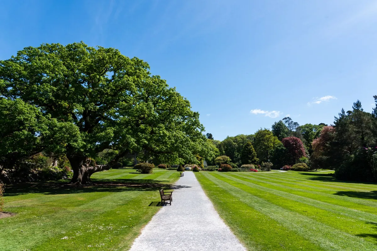 Artificial grass landscaping along a public park walkway