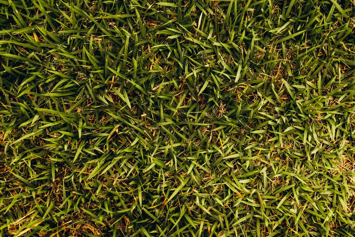 Cross-section of artificial turf backing layers PU vs PP+Net for replacement comparison