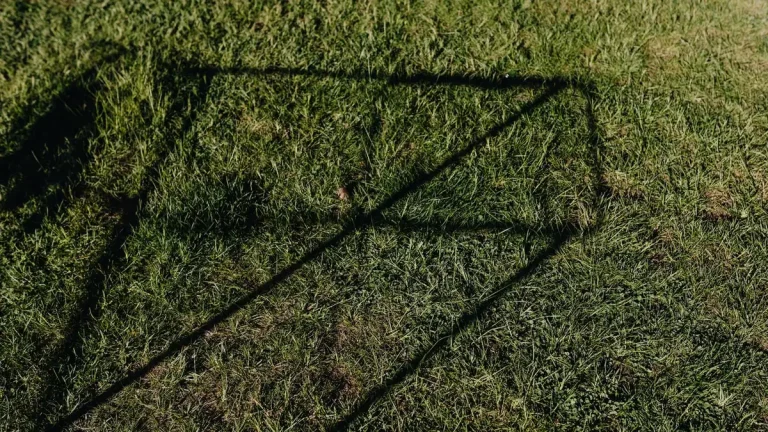 From above of green lawn with abstract shadow drawing on grass on sunny day