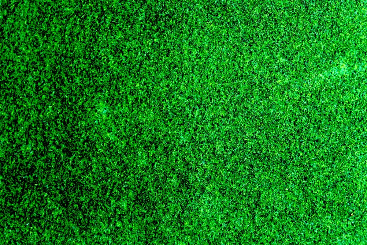 Green lawn surface detail with pile standing upright on a level prepared base