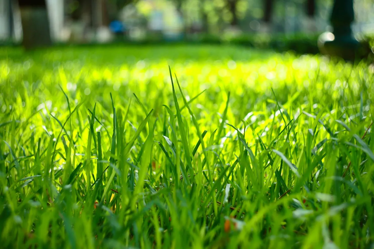 Green turf pile leaning one way on a finished hard-floor surface