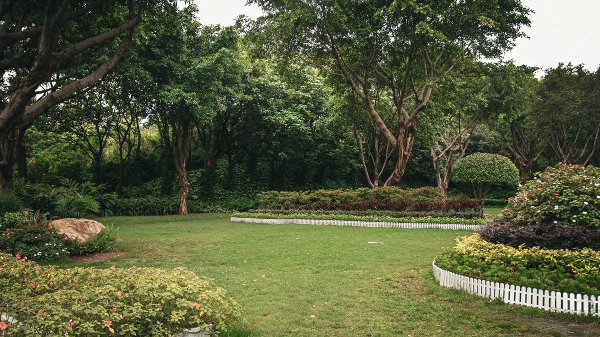 Garden lawn with trees and shrubs under soft light