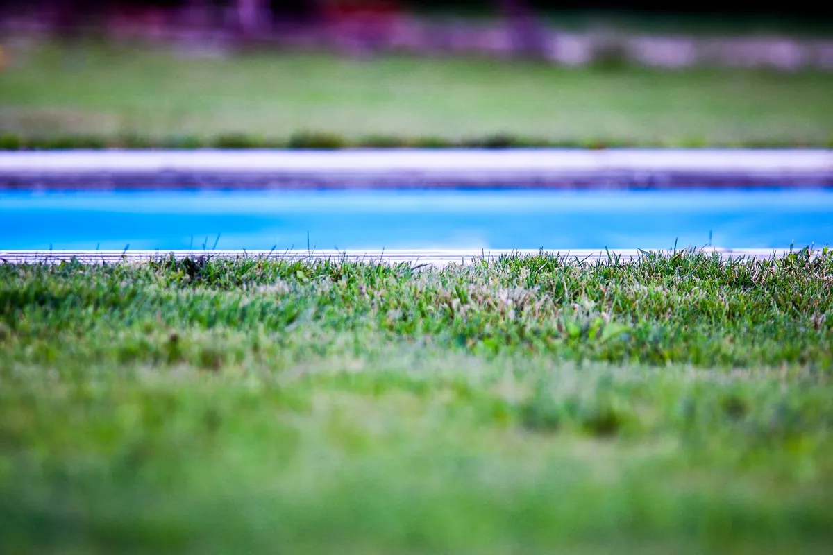 Green lawn beside a swimming pool with clean coping edges