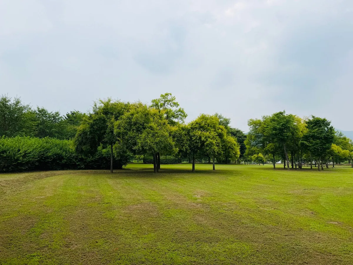Green grass under a cloudy sky