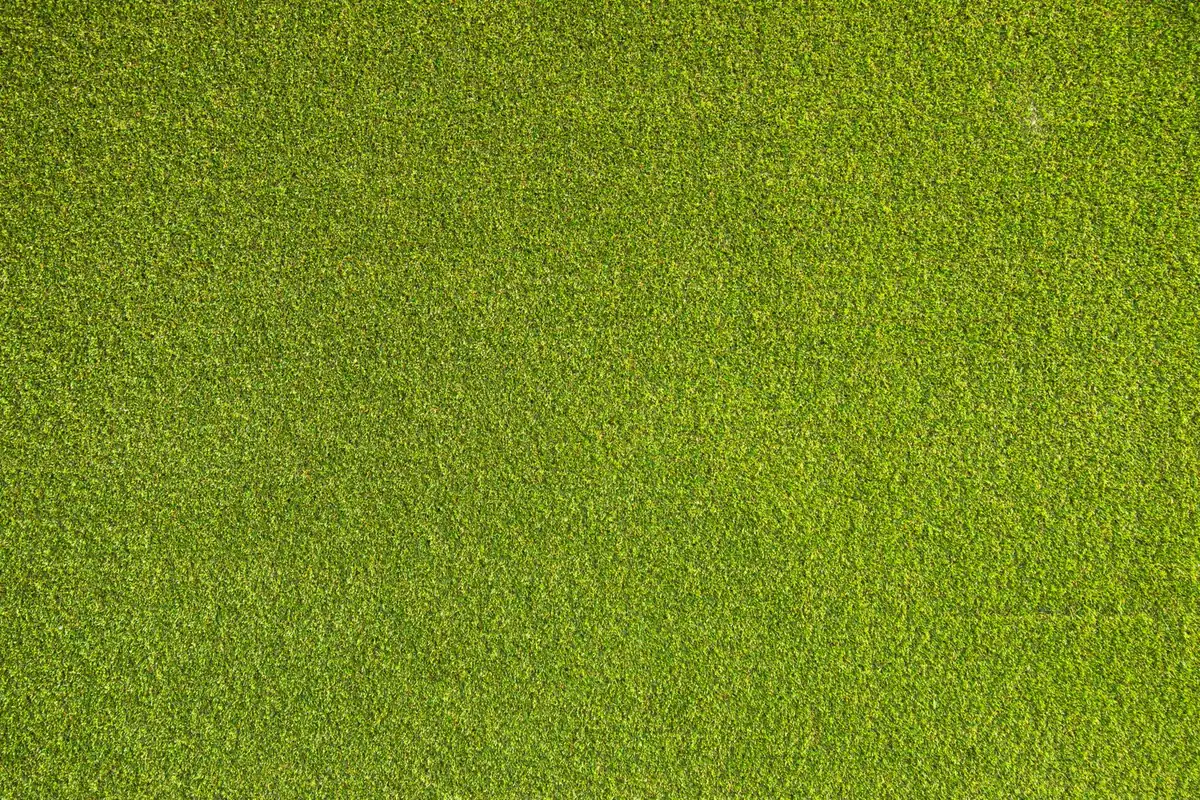Green turf surface detail where nails or staples sit below the fibre line
