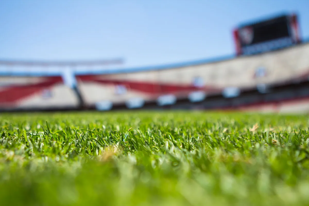 Close-up of green grass with a blurred stadium in the background