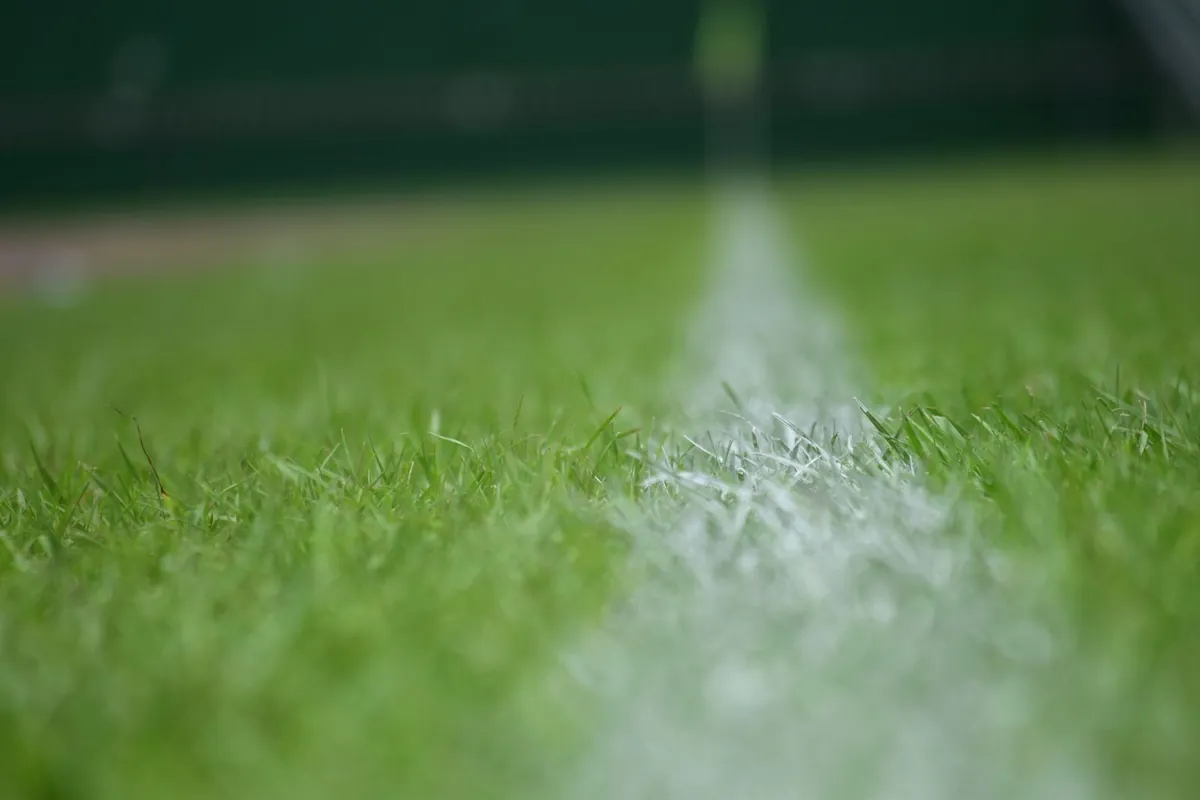 Dense commercial sports turf closeup showing thick fibre mass and texture