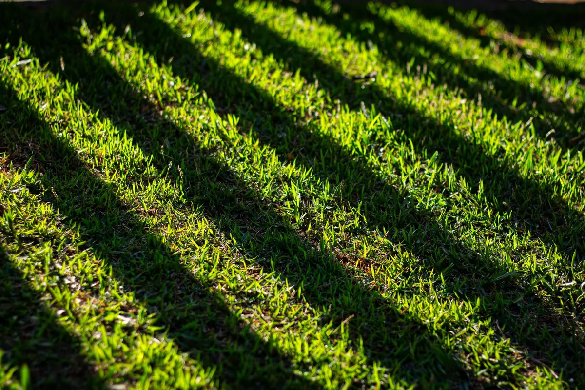 Close-up of green artificial grass blades