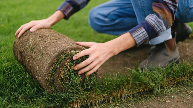 What Goes Under Artificial Grass? Layers and Drainage