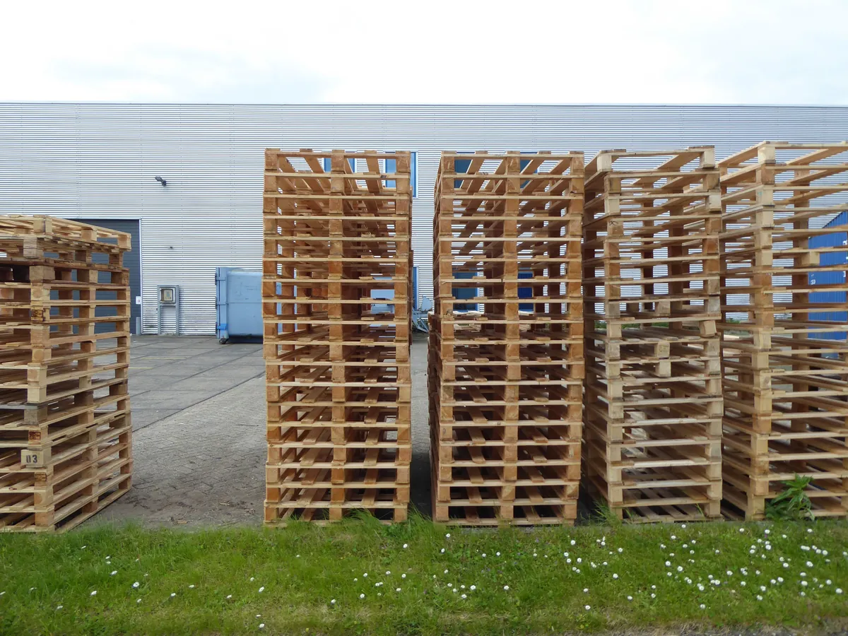 Rows of wooden pallets stacked outdoors near a warehouse