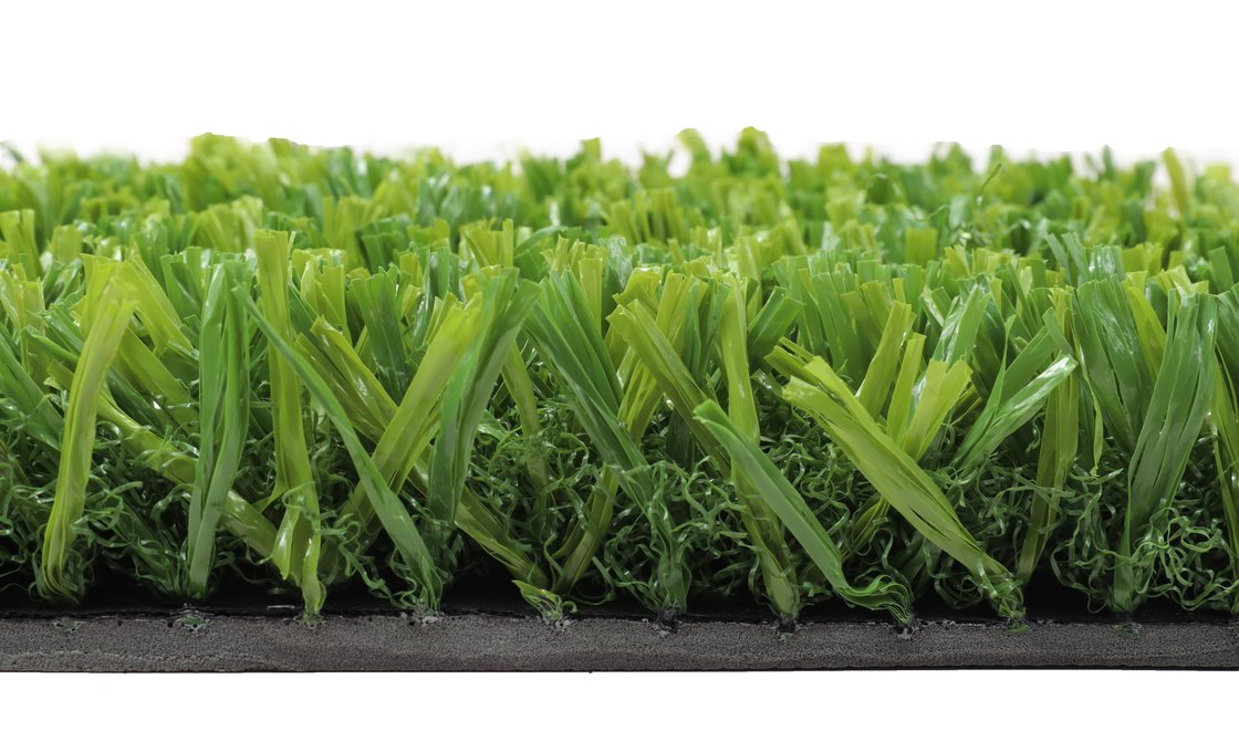 Wonder Lawn